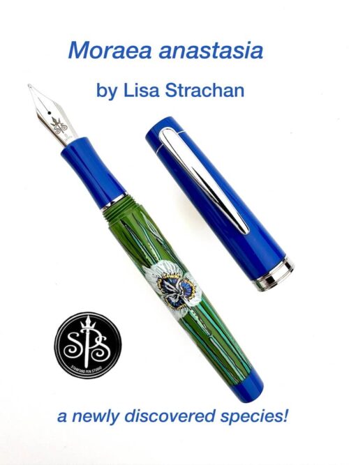 Moraea anastasia hand-painted fountain pen